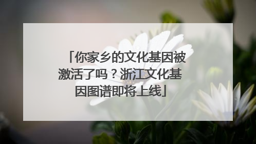 你家乡的文化基因被激活了吗？浙江文化基因图谱即将上线