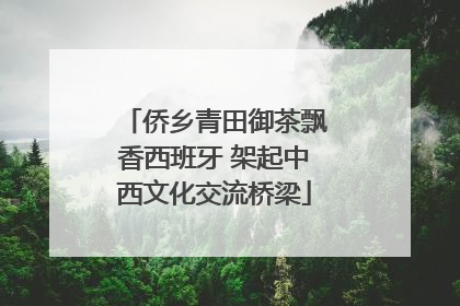 侨乡青田御茶飘香西班牙 架起中西文化交流桥梁
