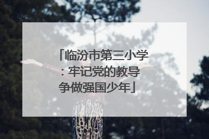 临汾市第三小学：牢记党的教导 争做强国少年