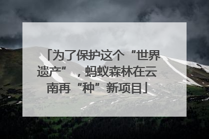 为了保护这个“世界遗产”，蚂蚁森林在云南再“种”新项目