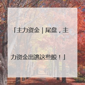 主力资金｜尾盘，主力资金出逃这些股！