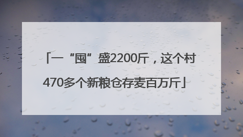 一“囤”盛2200斤，这个村470多个新粮仓存麦百万斤