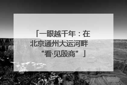 一眼越千年：在北京通州大运河畔“看·见殷商”