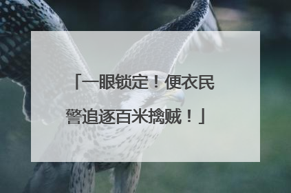 一眼锁定！便衣民警追逐百米擒贼！