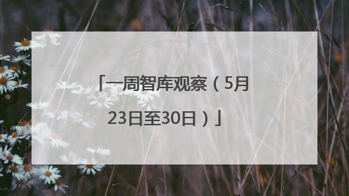 一周智库观察（5月23日至30日）