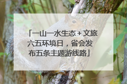 一山一水生态＋文旅 六五环境日，省会发布五条主题游线路