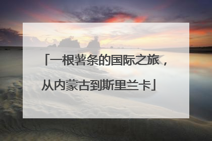 一根薯条的国际之旅，从内蒙古到斯里兰卡