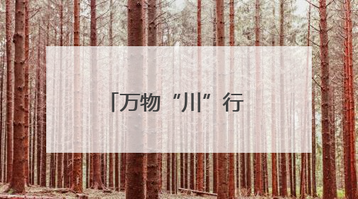 万物“川”行 揭开四川生物多样性的守护密码