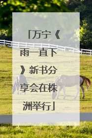 万宁《雨一直下》新书分享会在株洲举行