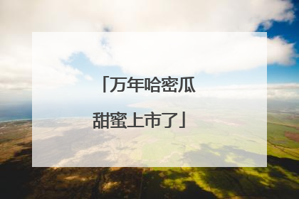 万年哈密瓜甜蜜上市了