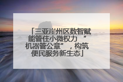 三亚崖州区数智赋能管住小微权力 “机器管公章”，构筑便民服务新生态