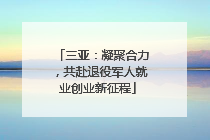 三亚：凝聚合力，共赴退役军人就业创业新征程