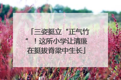 三姿挺立“正气竹”！这所小学让清廉在挺拔脊梁中生长
