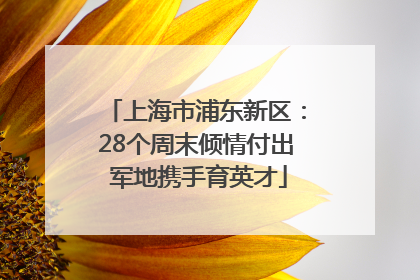 上海市浦东新区：28个周末倾情付出 军地携手育英才