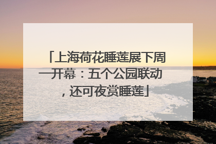 上海荷花睡莲展下周一开幕：五个公园联动，还可夜赏睡莲