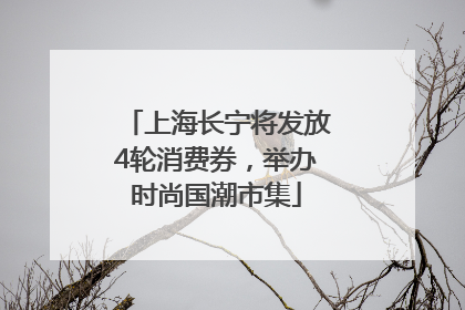 上海长宁将发放4轮消费券，举办时尚国潮市集