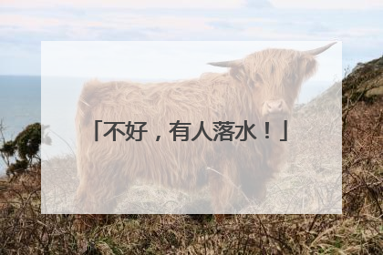 不好，有人落水！