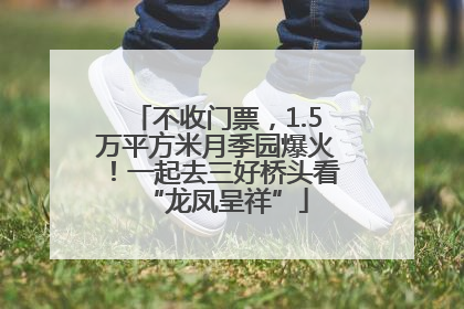 不收门票，1.5万平方米月季园爆火！一起去三好桥头看“龙凤呈祥”