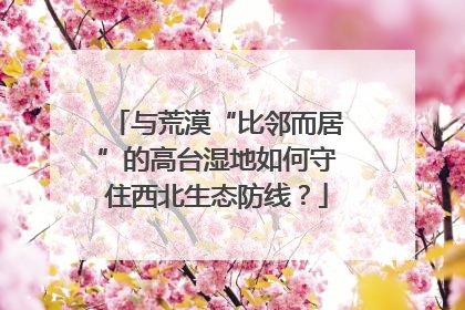 与荒漠“比邻而居”的高台湿地如何守住西北生态防线？