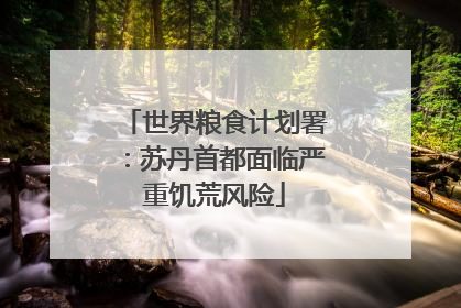 世界粮食计划署：苏丹首都面临严重饥荒风险