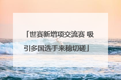 世赛新增项交流赛 吸引多国选手来穗切磋