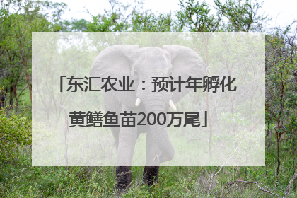 东汇农业：预计年孵化黄鳝鱼苗200万尾