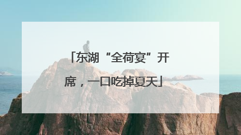 东湖“全荷宴”开席，一口吃掉夏天
