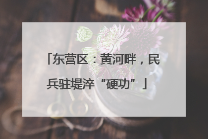 东营区：黄河畔，民兵驻堤淬“硬功”