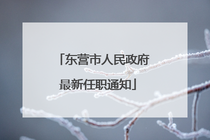 东营市人民政府最新任职通知