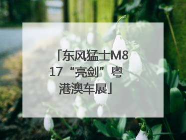 东风猛士M817“亮剑”粤港澳车展