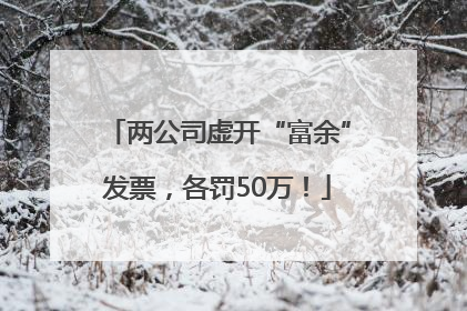 两公司虚开“富余”发票，各罚50万！