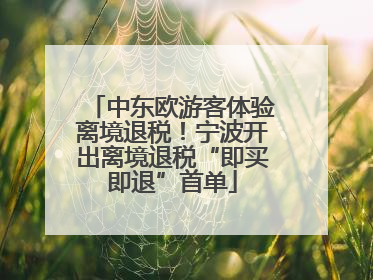 中东欧游客体验离境退税！宁波开出离境退税“即买即退”首单
