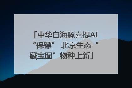 中华白海豚喜提AI“保镖” 北京生态“藏宝图”物种上新