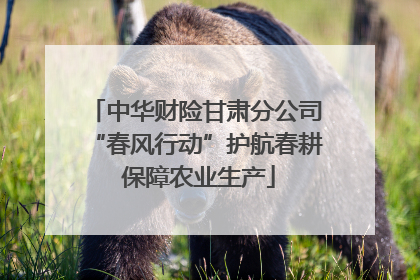 中华财险甘肃分公司“春风行动”护航春耕 保障农业生产
