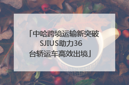 中哈跨境运输新突破 SJIUS助力36台轿运车高效出境