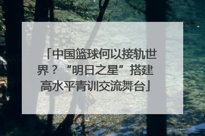中国篮球何以接轨世界？“明日之星”搭建高水平青训交流舞台