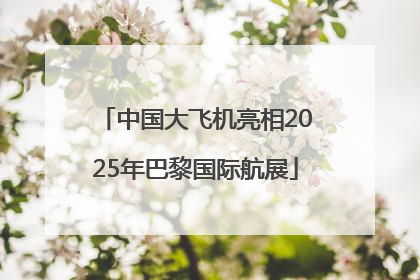 中国大飞机亮相2025年巴黎国际航展