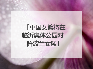 中国女篮将在临沂奥体公园对阵波兰女篮