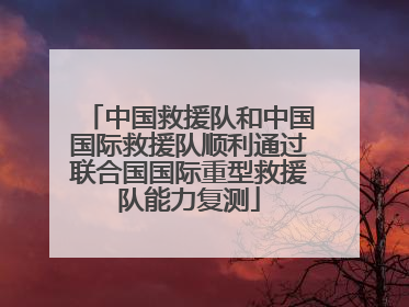 中国救援队和中国国际救援队顺利通过联合国国际重型救援队能力复测