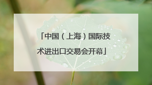 中国（上海）国际技术进出口交易会开幕