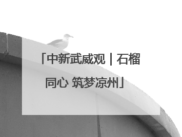 中新武威观｜石榴同心 筑梦凉州