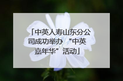 中英人寿山东分公司成功举办 “中英嘉年华”活动