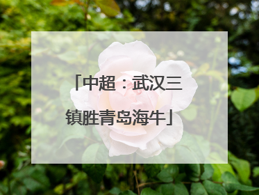 中超：武汉三镇胜青岛海牛