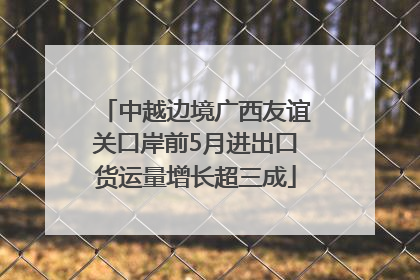 中越边境广西友谊关口岸前5月进出口货运量增长超三成