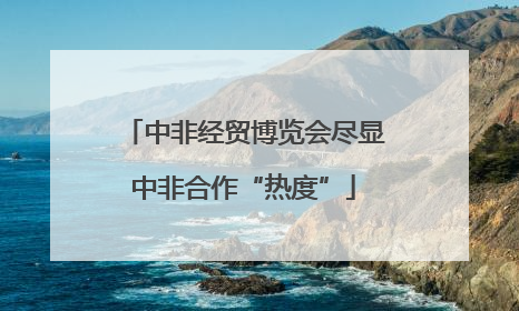 中非经贸博览会尽显中非合作“热度”