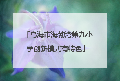 乌海市海勃湾第九小学创新模式有特色