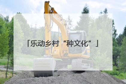 乐动乡村“种文化”