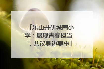 乐山井研城南小学：展现青春担当，共议身边要事