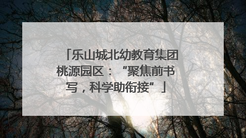 乐山城北幼教育集团桃源园区：“聚焦前书写，科学助衔接”