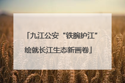 九江公安“铁腕护江”绘就长江生态新画卷